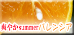 �u�₩summer�o�����V�A